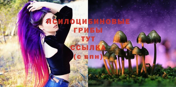 ALPHA PVP Алексин