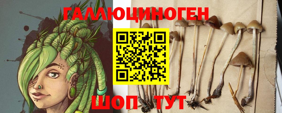 Псилоцибиновые грибы GOLDEN TEACHER Нарткала